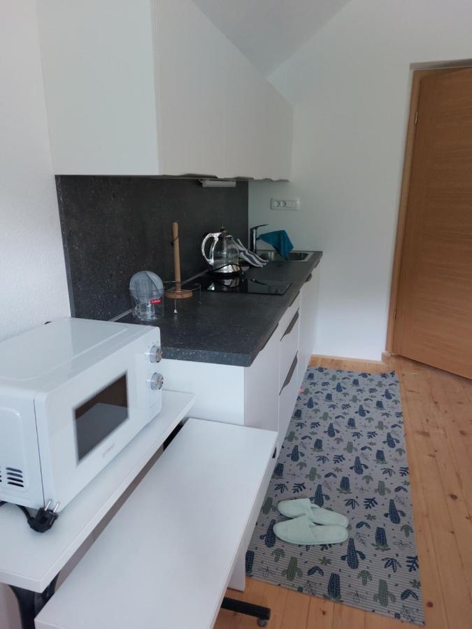 Apartma Sava-Stol Jesenice Εξωτερικό φωτογραφία