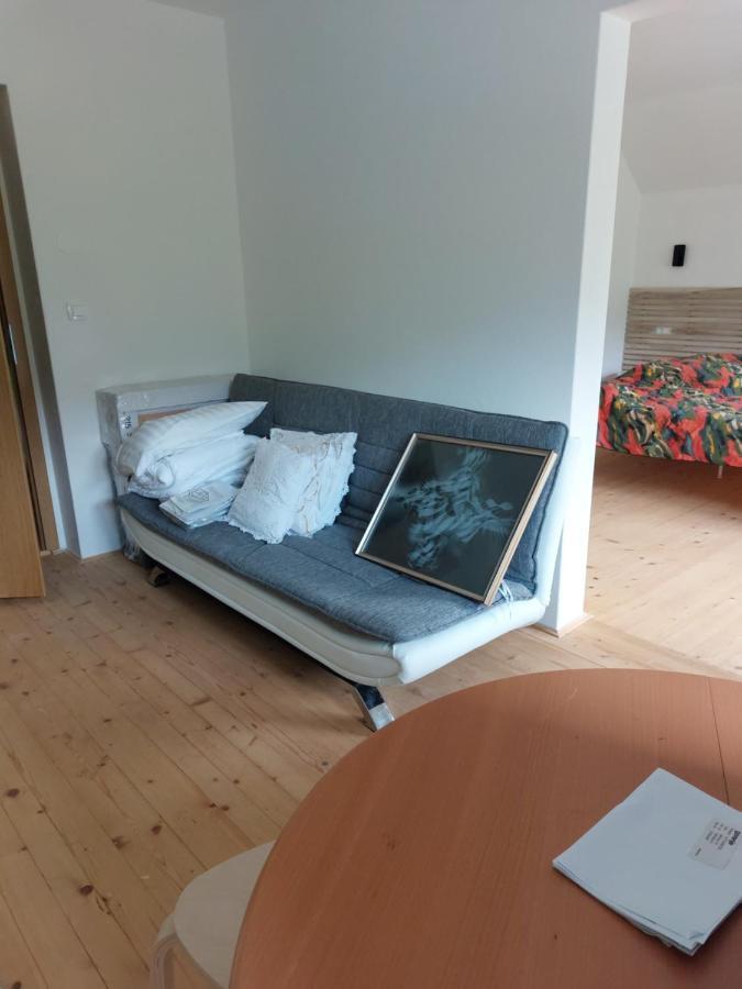 Apartma Sava-Stol Jesenice Εξωτερικό φωτογραφία