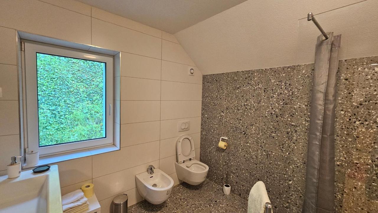Apartma Sava-Stol Jesenice Εξωτερικό φωτογραφία